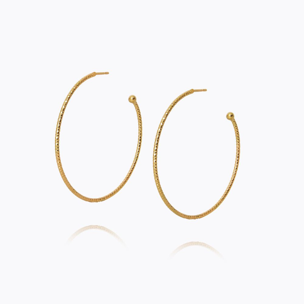 CAROLINE SVEDBOM EVITA HOOP EARRINGS  124